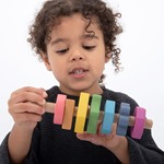 Rainbow Wooden Shape Twister 2