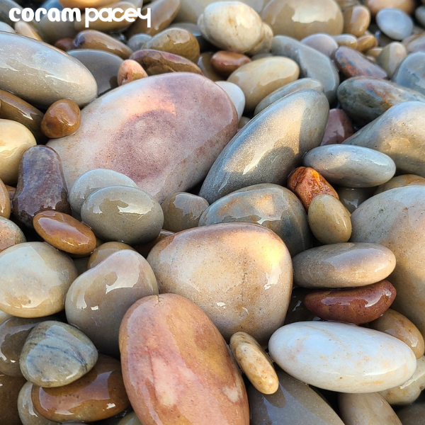 Supporting mathematical development in the natural world (Bilingual)